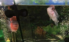 Load image into Gallery viewer, Suction Cup Divider